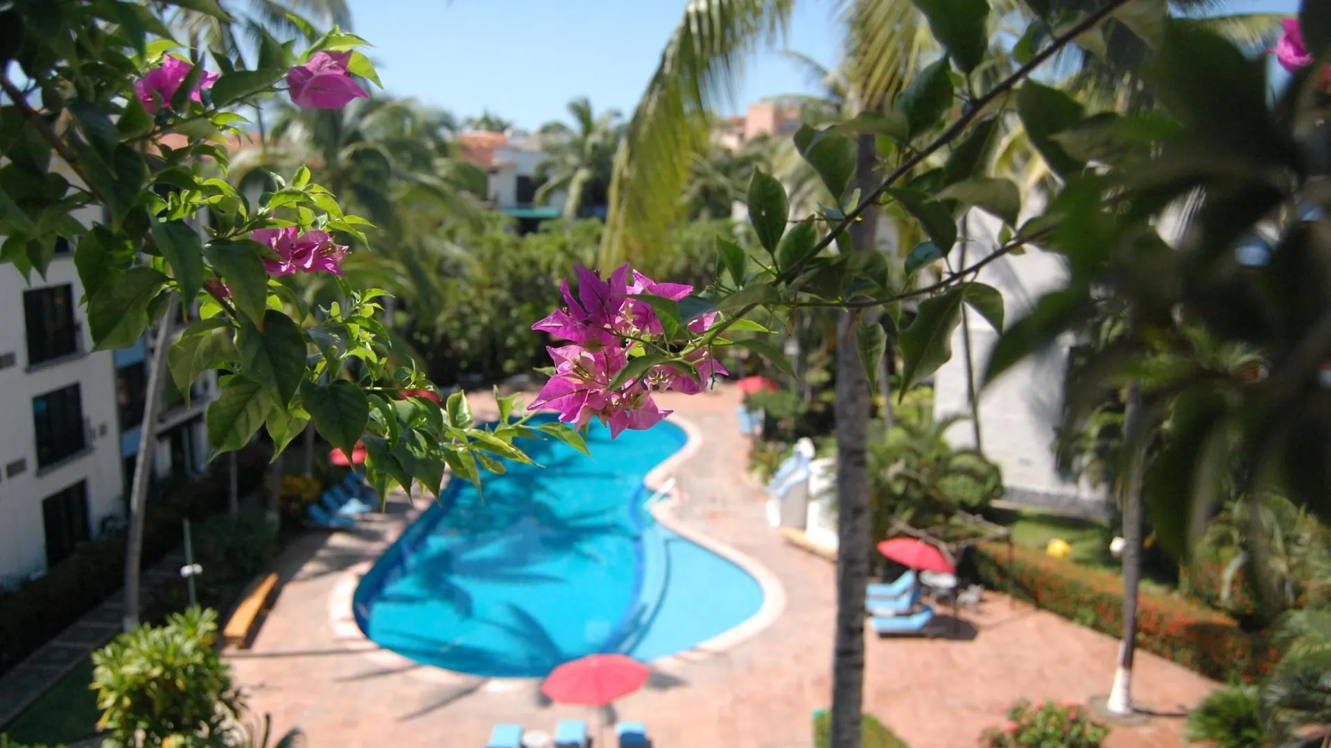 Puerto de Luna Pet Friendly&Family Suites Puerto Vallarta Hotel